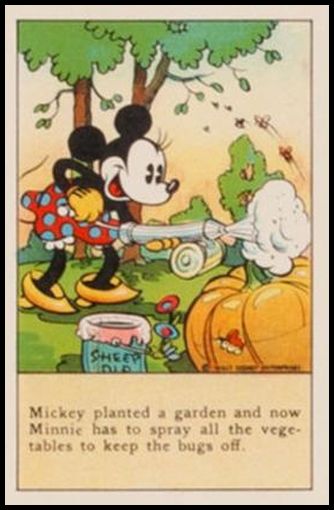 Mickey Planted A